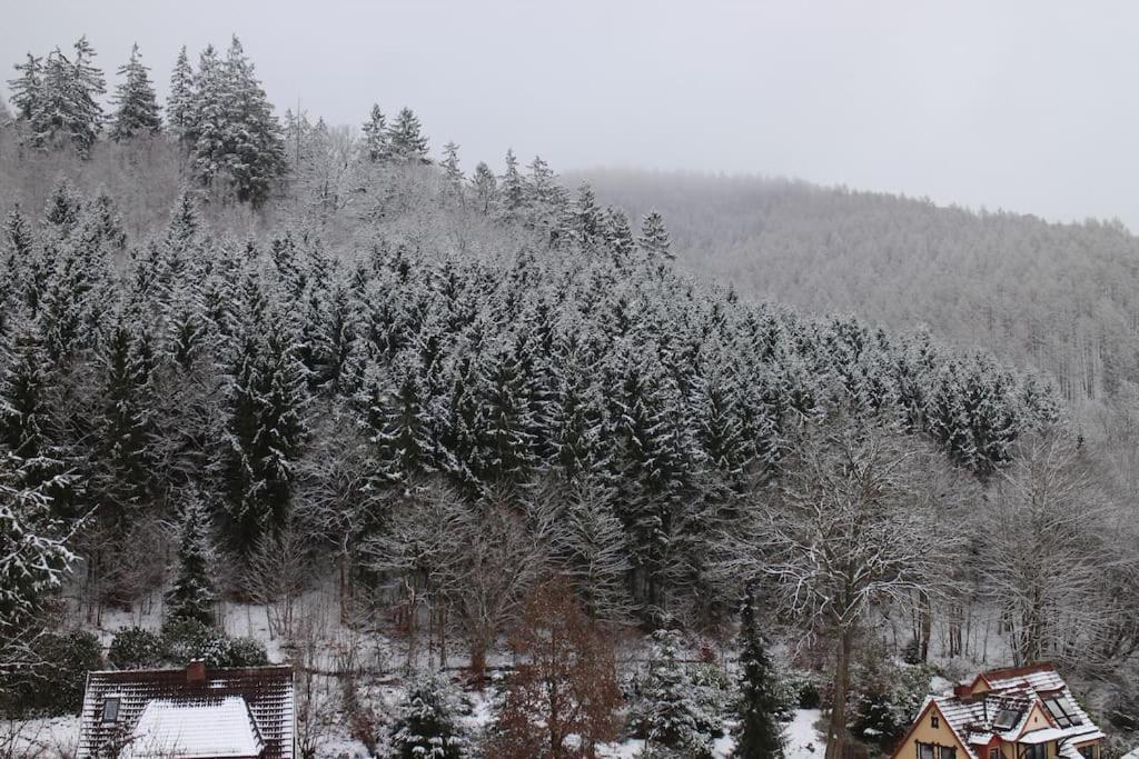 Sonnige 60m² Ferienwohnung für 5 Personen Bad Lauterberg im Harz Exterior foto