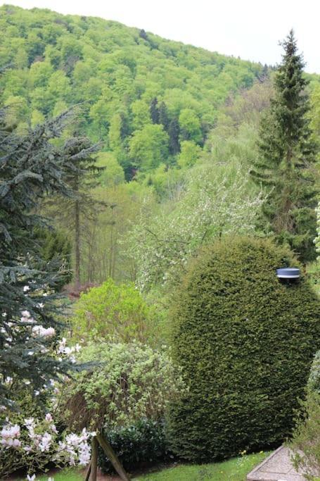 Sonnige 60m² Ferienwohnung für 5 Personen Bad Lauterberg im Harz Exterior foto