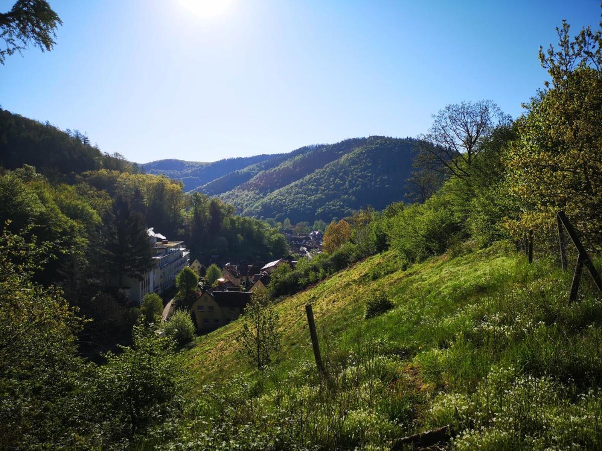 Sonnige 60m² Ferienwohnung für 5 Personen Bad Lauterberg im Harz Exterior foto